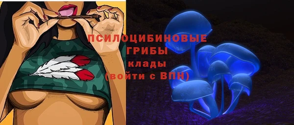 стафф Армянск