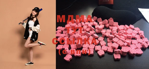 шишки Арсеньев
