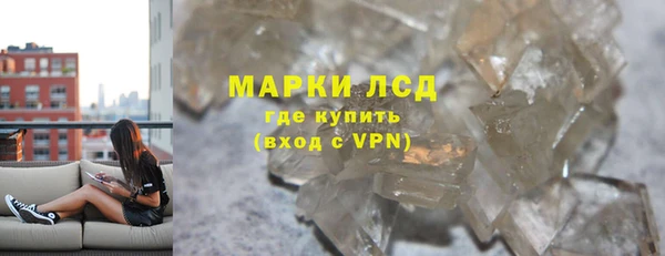 шишки Арсеньев