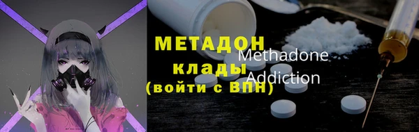 шишки Арсеньев