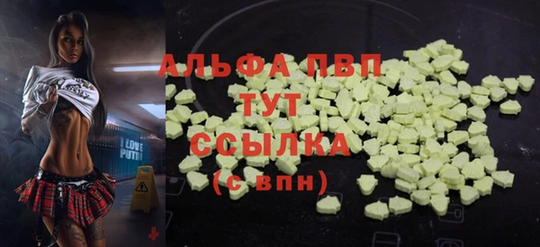 шишки Арсеньев
