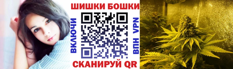 Конопля план  Ахтубинск 